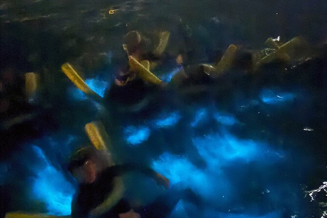 Private Bioluminescence Tour in Grand Cayman - A private group price of $1,025
