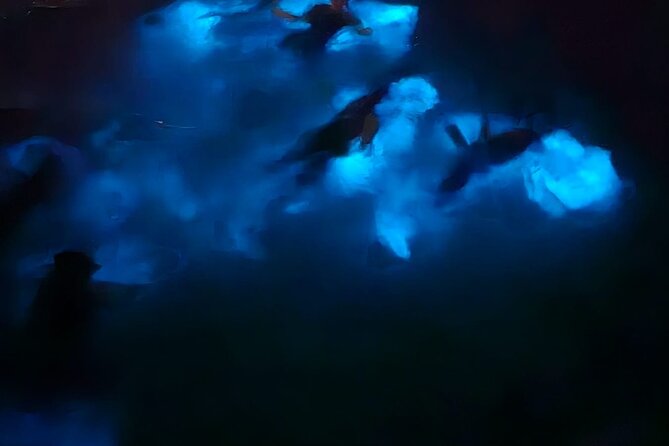 Private Bioluminescence Tour in Grand Cayman - Family comfort and the role of the crew