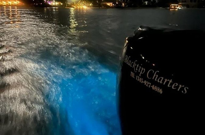 Private Bioluminescence Tour in Grand Cayman - What to bring and how to plan your evening