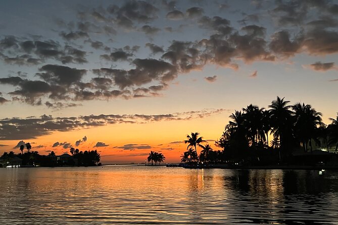 Private: Bioluminescence Tour - Entering the Bioluminescent Bay