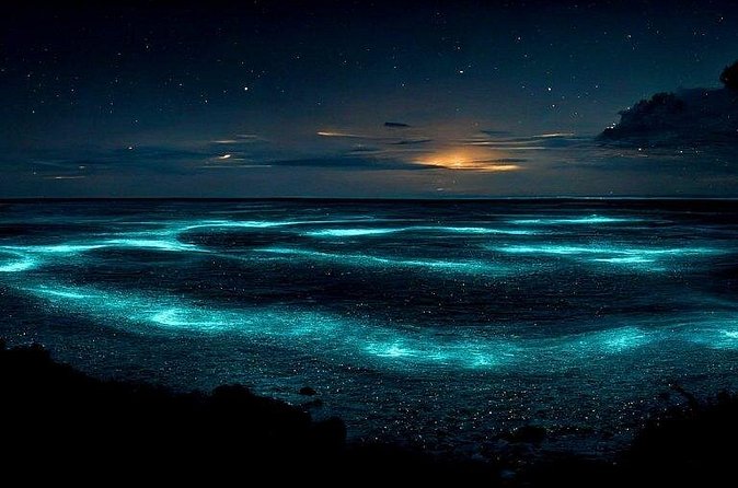 Private Bioluminescent Bay Tour - Is $600 a fair price?