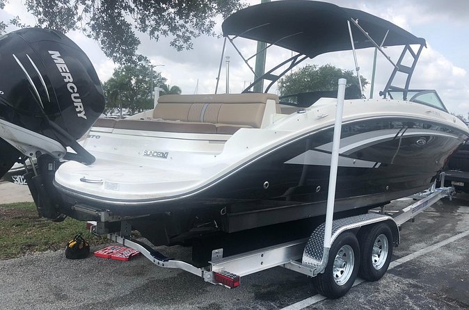 Private Bioluminescent Bay Tour - Who will enjoy this trip most?