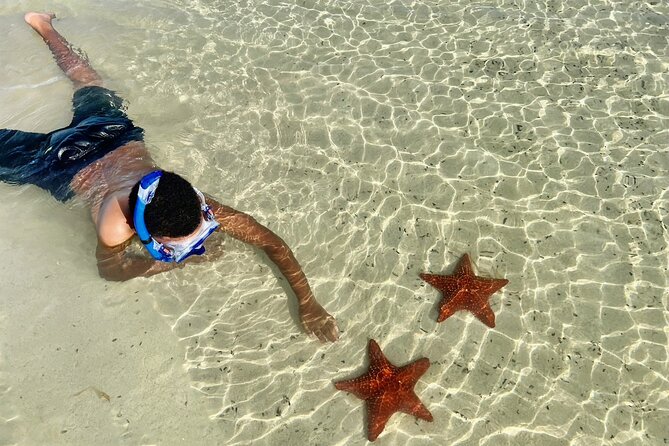 Private Boat Charter in Cayman Islands - Starfish Point: A Quiet 30-Minute Pause