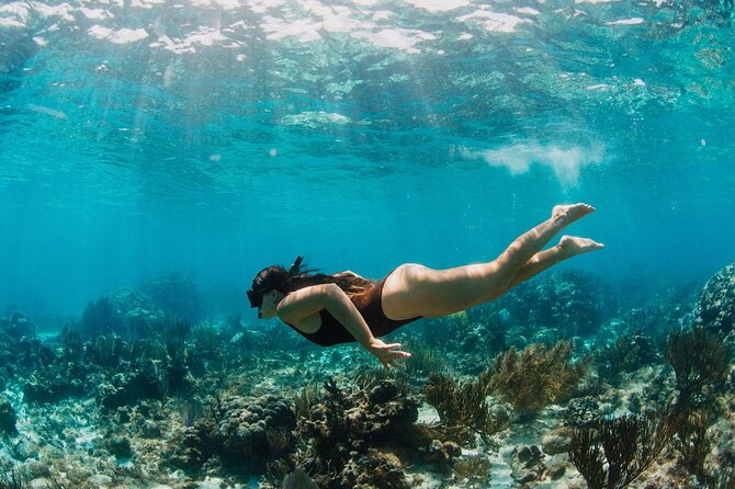 Private Boat Charter Snorkeling Stingray City or Bio Bay - Key points at a glance
