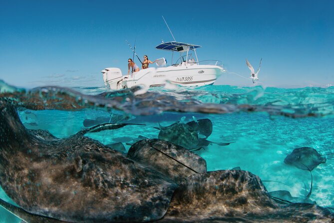 Private Boat Charter Snorkeling Stingray City or Bio Bay - Bioluminescent Bay after dark