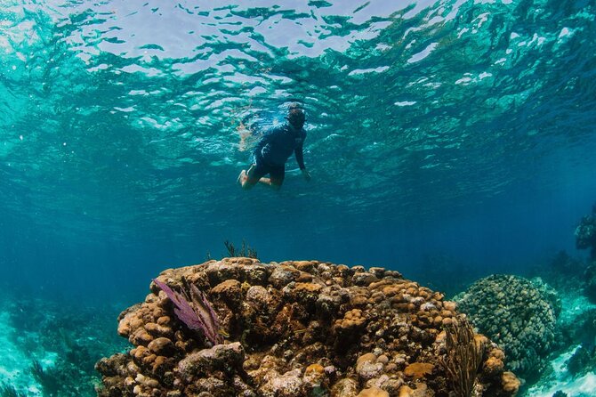 Private Boat Charter Snorkeling Stingray City or Bio Bay - Planning your three to four hours