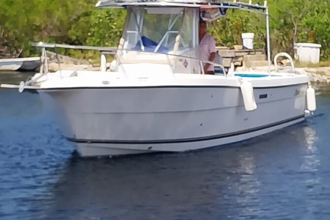 Private Boat Tour in Cayman Islands - What $850 means for your group