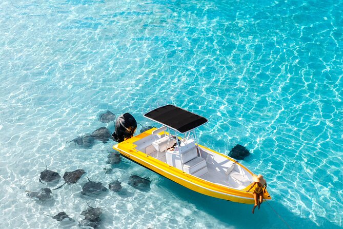 Private Boat Tours: Customize Your Grand Cayman Adventure! - Grand Cayman snorkeling: beautiful water, limited time