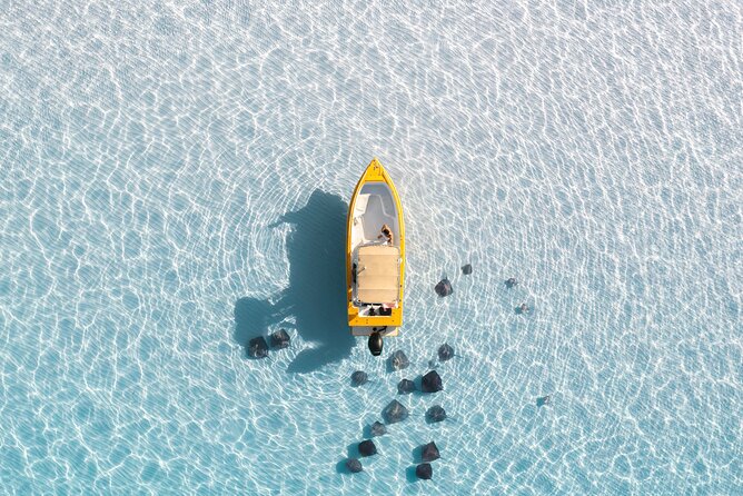 Private Boat Tours: Customize Your Grand Cayman Adventure! - Stingray City: the main event