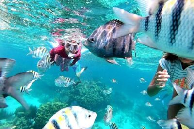 Private Charter 28ft Grady White. Stingrays, Snorkeling, Starfish