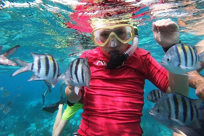Private Charter 28ft Grady White. Stingrays, Snorkeling, Starfish - Is $750 good value for your group?