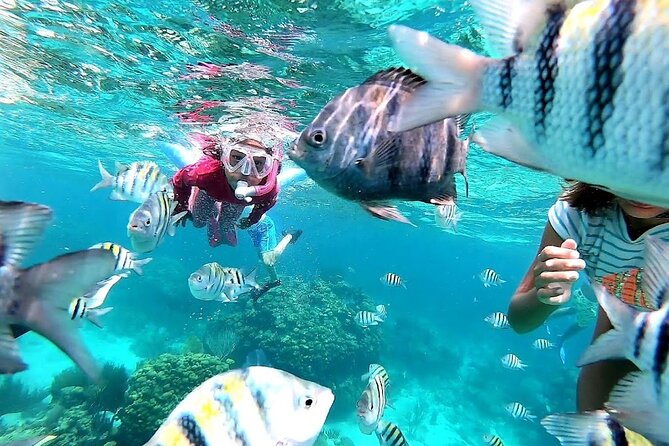 Private Charter 28ft Grady White. Stingrays, Snorkeling, Starfish - Stingray City: the four-hour charter’s highlight