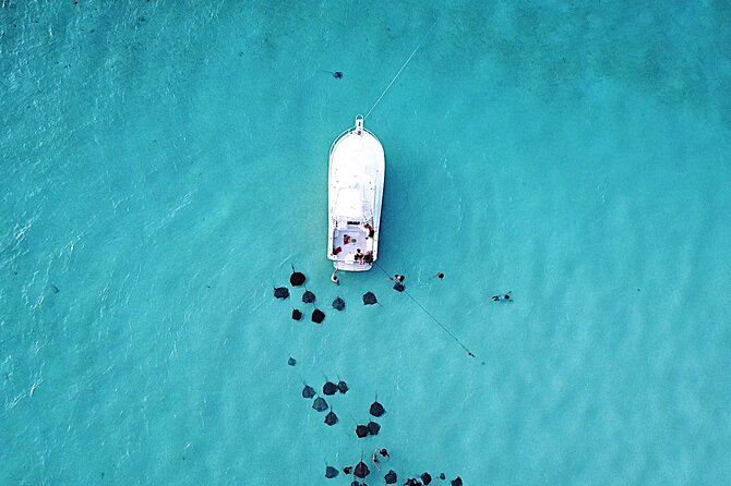 Private Charter 34ft Express Cruiser Stingay City Reef Snorkeling - Key points before you book