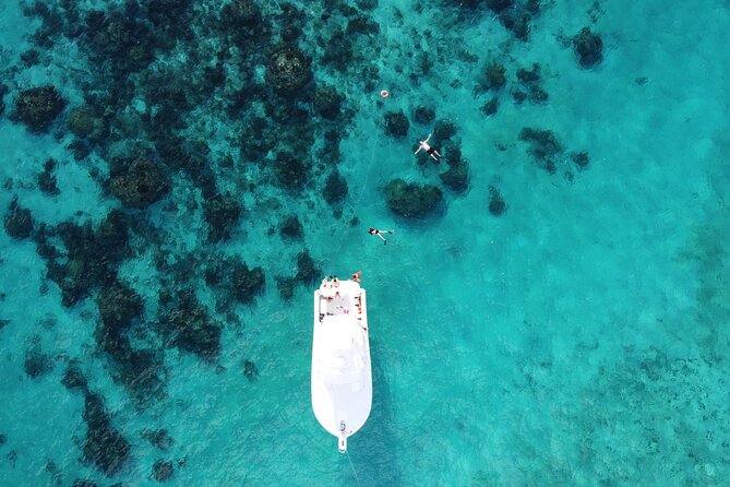 Private Charter 34ft Express Cruiser Stingay City Reef Snorkeling - Fishing and the freedom to change plans