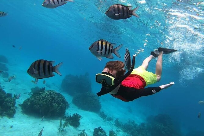 Private Charter 34ft Express Cruiser Stingay City Reef Snorkeling - The crew and the feel on board