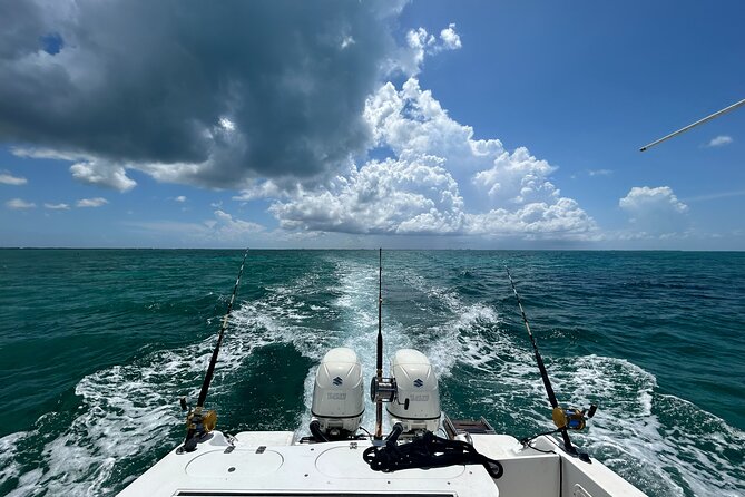 Private Charter Reef fishing, Stingray City, Snorkel, Mangroves - The bioluminescent bay timing needs a clear question