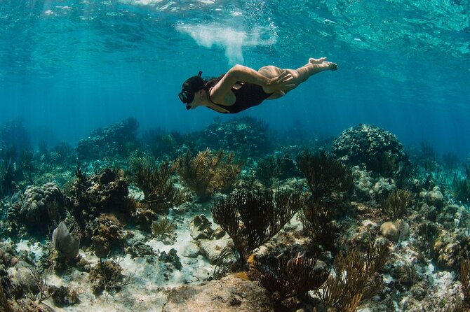 Private Charter Reef fishing, Stingray City, Snorkel, Mangroves - Price and value for a group of seven