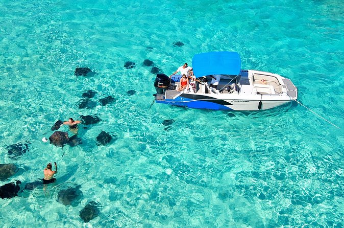 Private, Guided Boat Charters in The Cayman Islands - Sunrise and bioluminescence trips