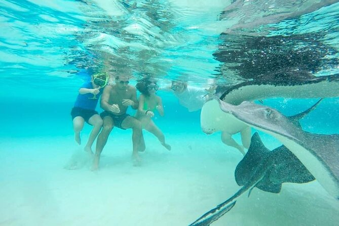 Private Half Day Boat Tour, 3 locations of your choice - Who should book this half-day boat tour?