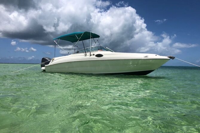 Private Half-Day Charter to Stingray City, Starfish Point and Snorkeling Tour - Meeting the stingrays at Stingray City