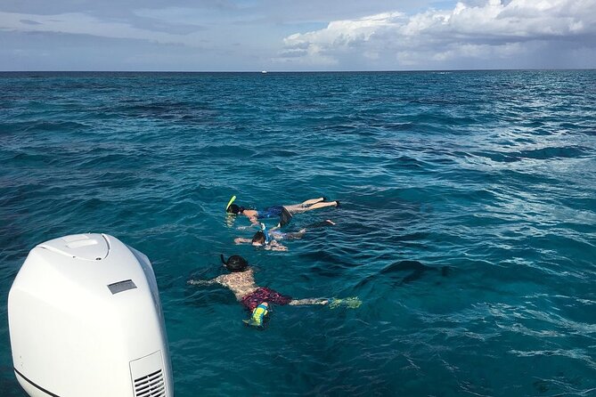 Private Half Day Stingray City, Snorkeling and Starfish Beach Tour - Why a Private Boat Changes the Stingray City Experience