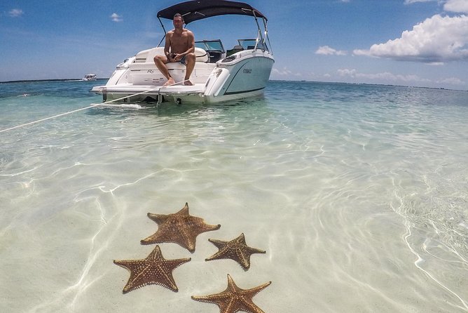 Private, luxury, custom charters to Stingray City, Snorkeling & More - Why a private charter changes the day