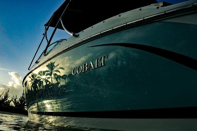 Private, luxury, custom charters to Stingray City, Snorkeling & More - What the crew does well