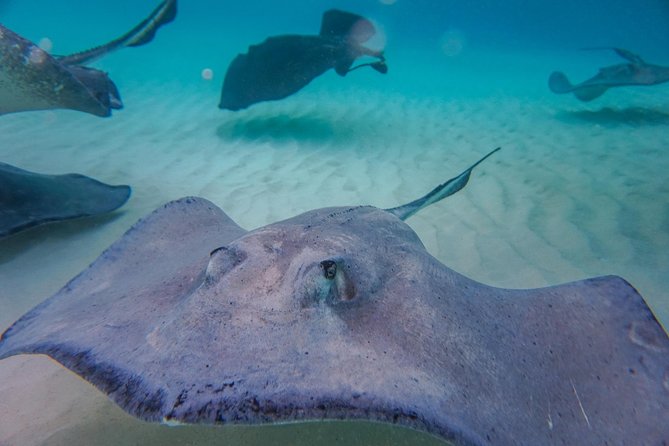 Private, luxury, custom charters to Stingray City, Snorkeling & More - Boat comfort, equipment, and what to pack