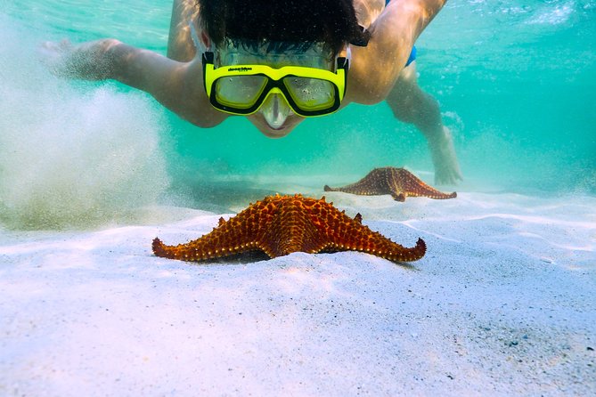 Private Stingray City and Snorkeling Half Day Charter for 6 Guest - Key points to know before you book