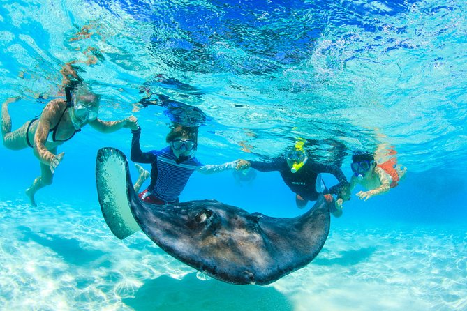 Private Stingray City and Snorkeling Half Day Charter for 6 Guest - Meeting the stingrays at Stingray City