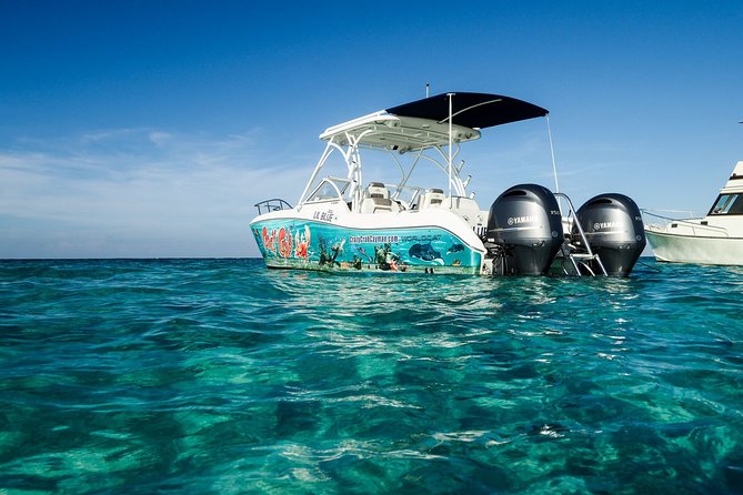 Private Stingray City and Snorkeling Half Day Charter for 6 Guest - Safety, weather, and the cancellation risk