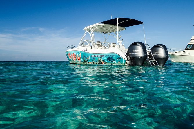 Private Stingray City Snorkeling and BioBay Charter for 10 Guests - The Supper Break Between Daylight and Darkness