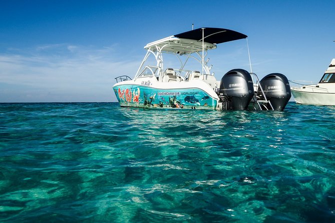Private Stingray City Snorkeling and BioBay Charter for 6 Guests - The private boat is part of the experience
