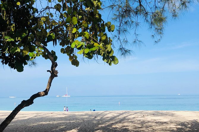 Private Swim Lesson or Triathlon Training on Seven Mile Beach! - Kara’s coaching style and the value of private instruction