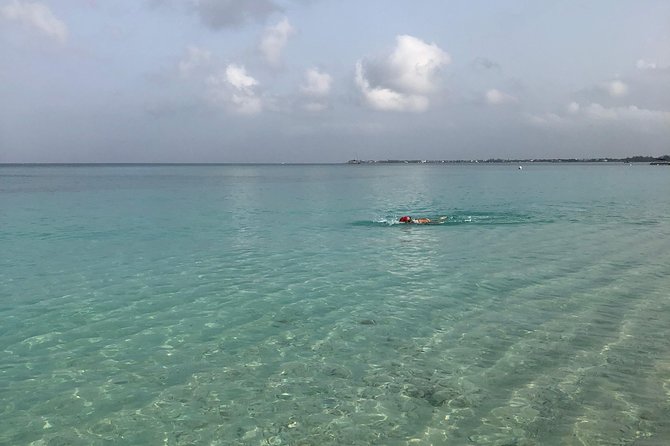 Private Swim Lesson or Triathlon Training on Seven Mile Beach! - Who should book this Seven Mile Beach lesson
