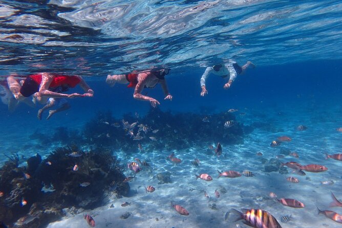 Private Tour to Stingray City & Snorkeling at Coral Gardens - Why this private Grand Cayman charter feels different