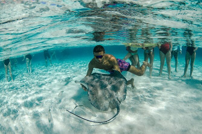 Private Yacht 48 ft Sting Ray City, Snorkel & Starfish Beach - Snorkeling in Eight to Ten Feet of Water