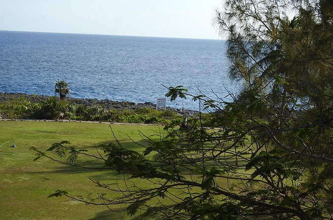 Queen Elizabeth II Botanic Park and Pedro St James Castle Tour in Grand Cayman - The guide can shape the whole experience