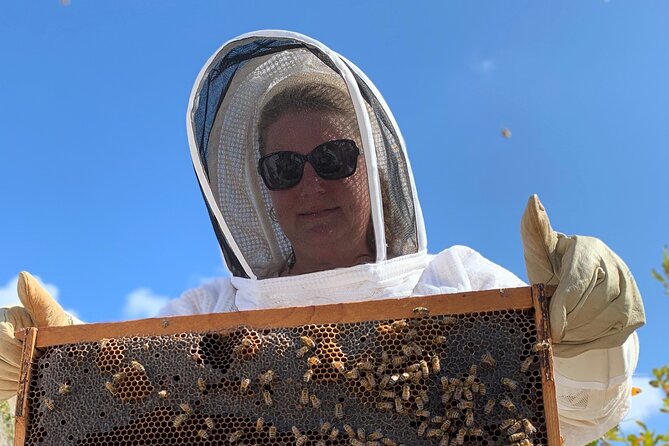 Reagan’s Honey Beekeeping Adventure - Getting Into the Bee Suit