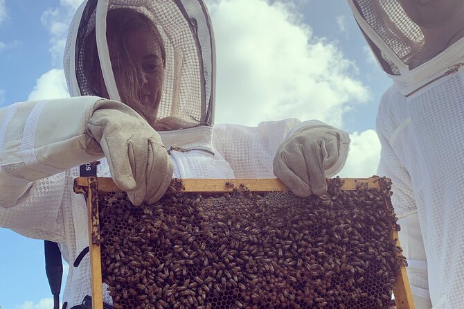Reagan’s Honey Beekeeping Adventure - Inspecting a Living Hive