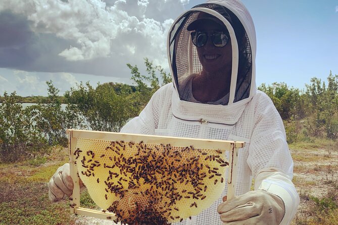 Reagan’s Honey Beekeeping Adventure - Is $66.67 a Fair Price?