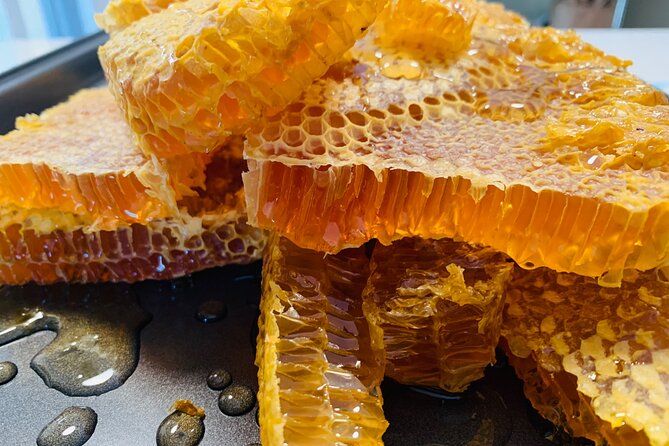 Reagan’s Honey Beekeeping Adventure - Walking Through the Apiary and Woodland