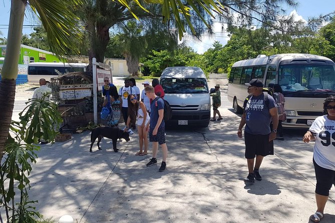 Scenic Island Private Tour - Key points to know before booking