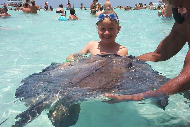 Small Group 7 Mile Beach Stingray City and Coral Gardens Tour - Timing, weather, and cruise-day planning