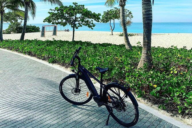 Small Group E-Bike Grand Cayman Ecological Half-Day Tour - Hell, where geology gets a postcard office