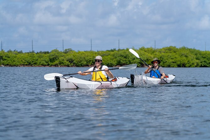 Small Group Glass Bottom Kayak Adventure- Cayman Islands - Key points to know before you paddle