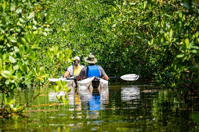 Small Group Glass Bottom Kayak Adventure- Cayman Islands - Launching into Grand Cayman’s red mangroves