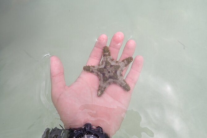 Starfish Point, Stingray City & Coral Garden (3-STOP Adventure) - What the crew adds to the day