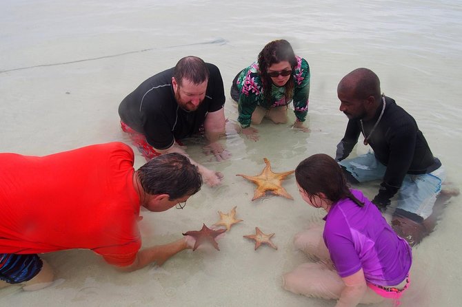 Starfish Point, Stingray City & Coral Garden (3-STOP Adventure) - Who should book this adventure?