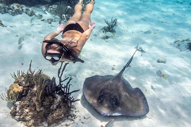Starfish Point, Stingray City-Sandbar & Coral Gardens - Starfish Point: a gentle finish